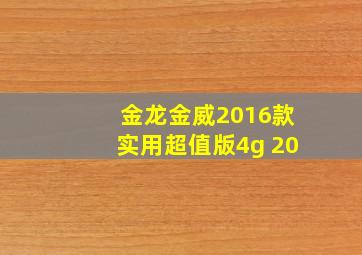 金龙金威2016款实用超值版4g 20